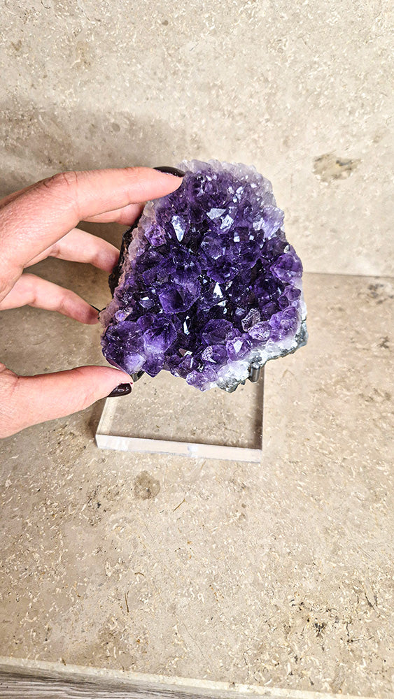 Amethyst Druse #2 - Dunkel, extra Qualität