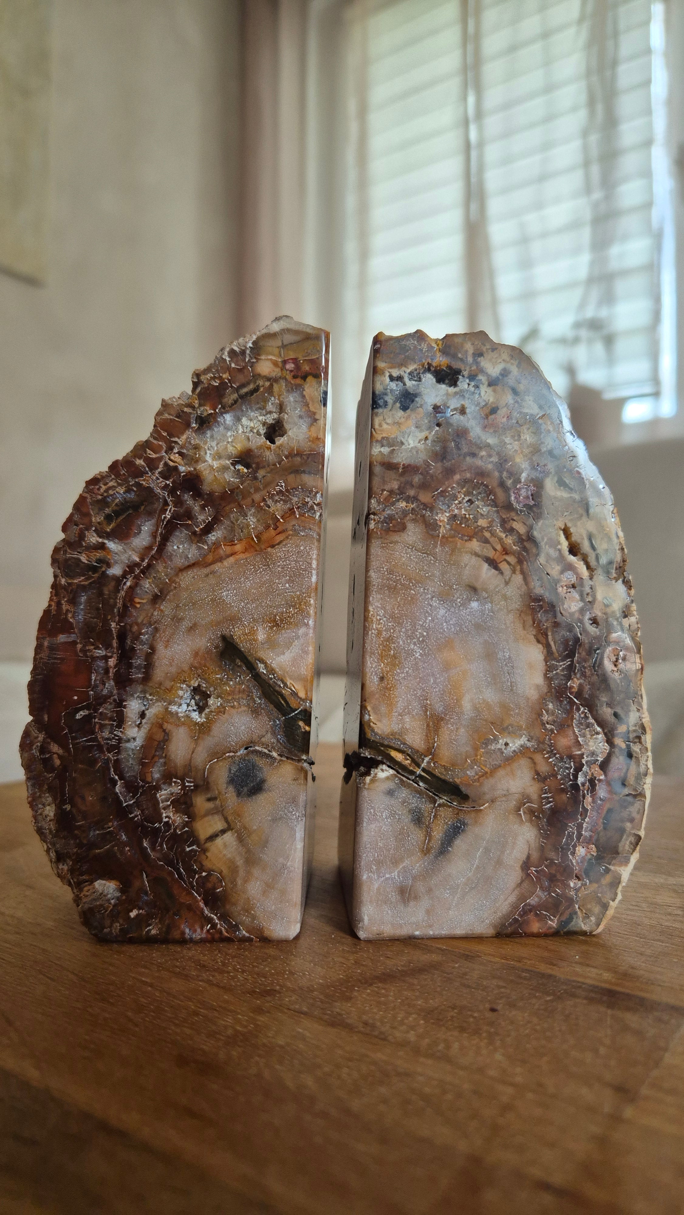 Versteinertes Holz - Buchstütze