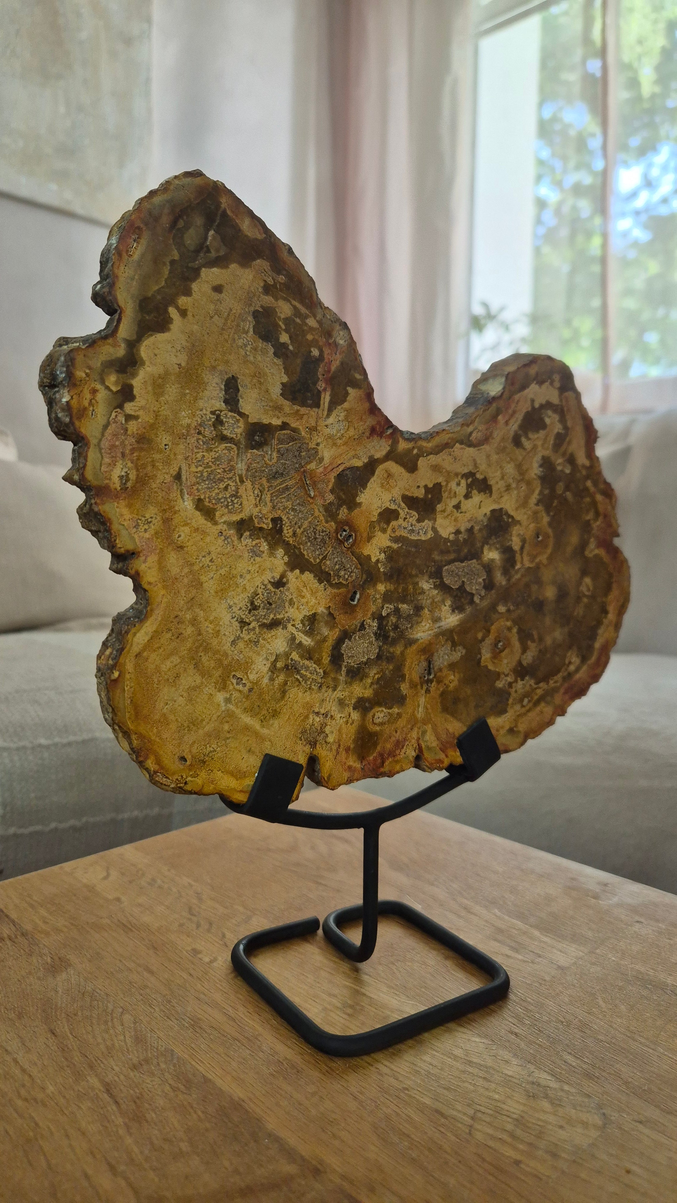 Versteinertes Holz #4