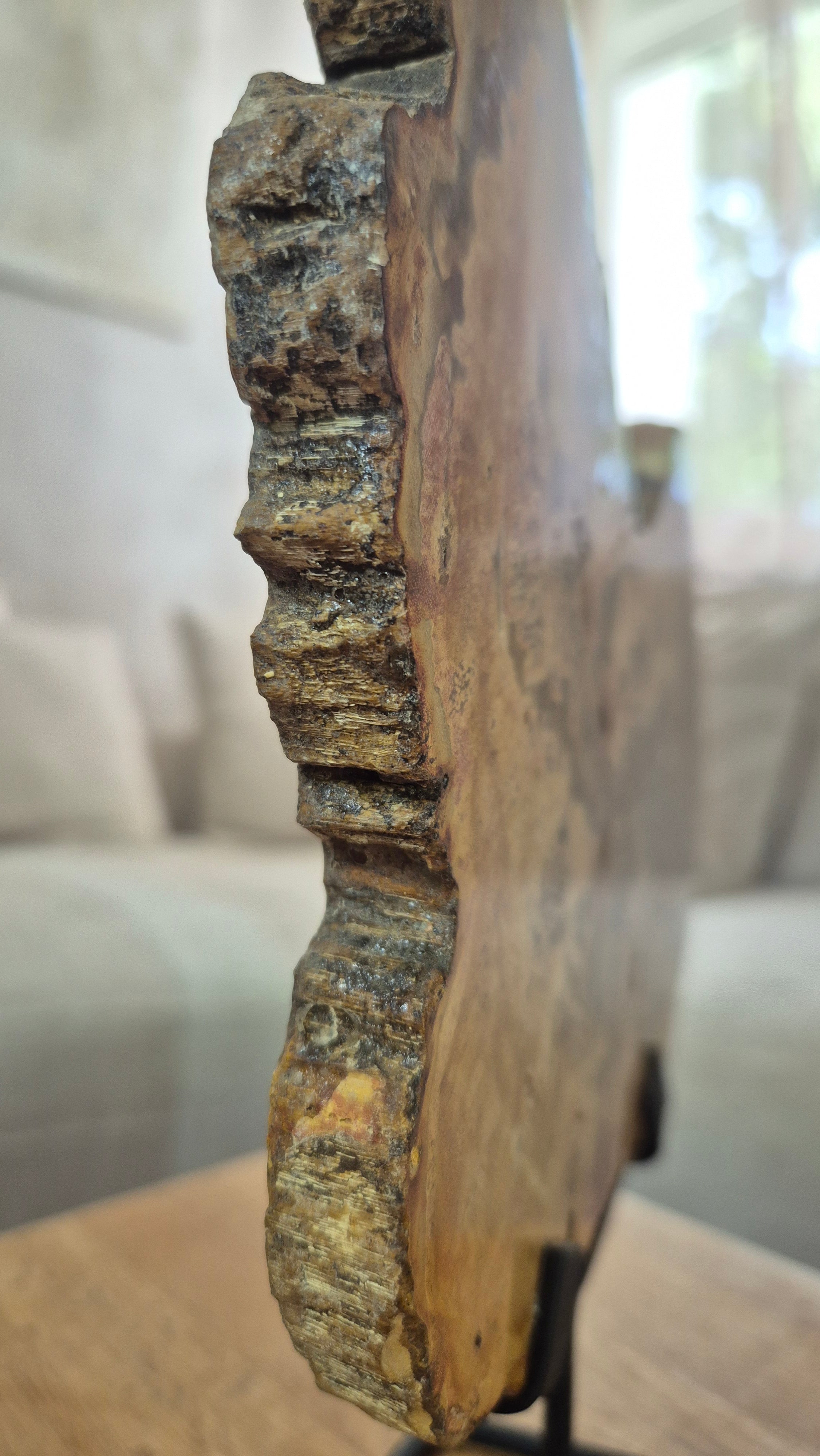 Versteinertes Holz #4
