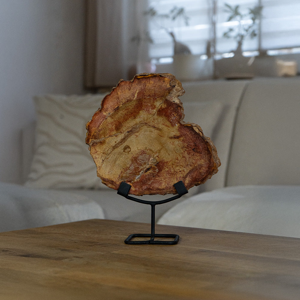 Versteinertes Holz #1