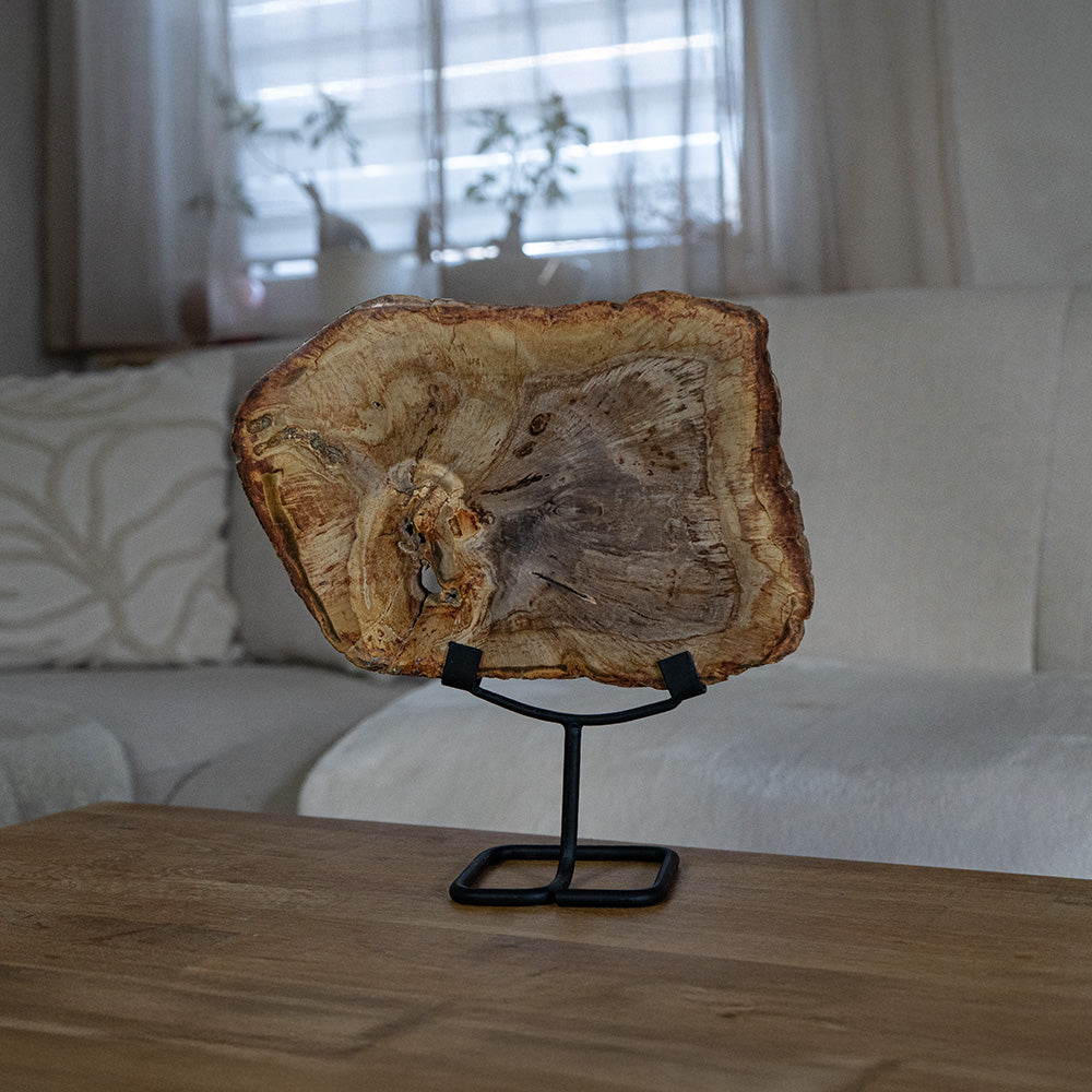 Versteinertes Holz #2