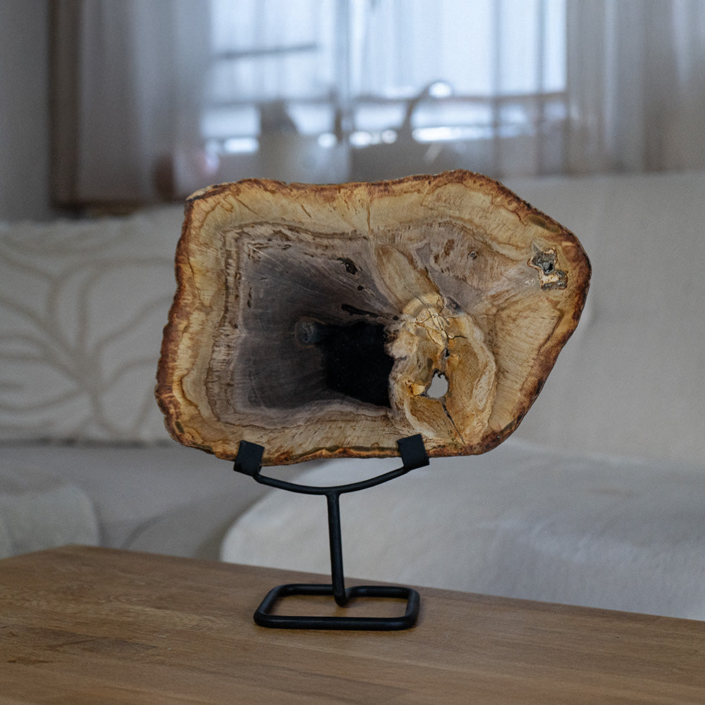 Versteinertes Holz #2