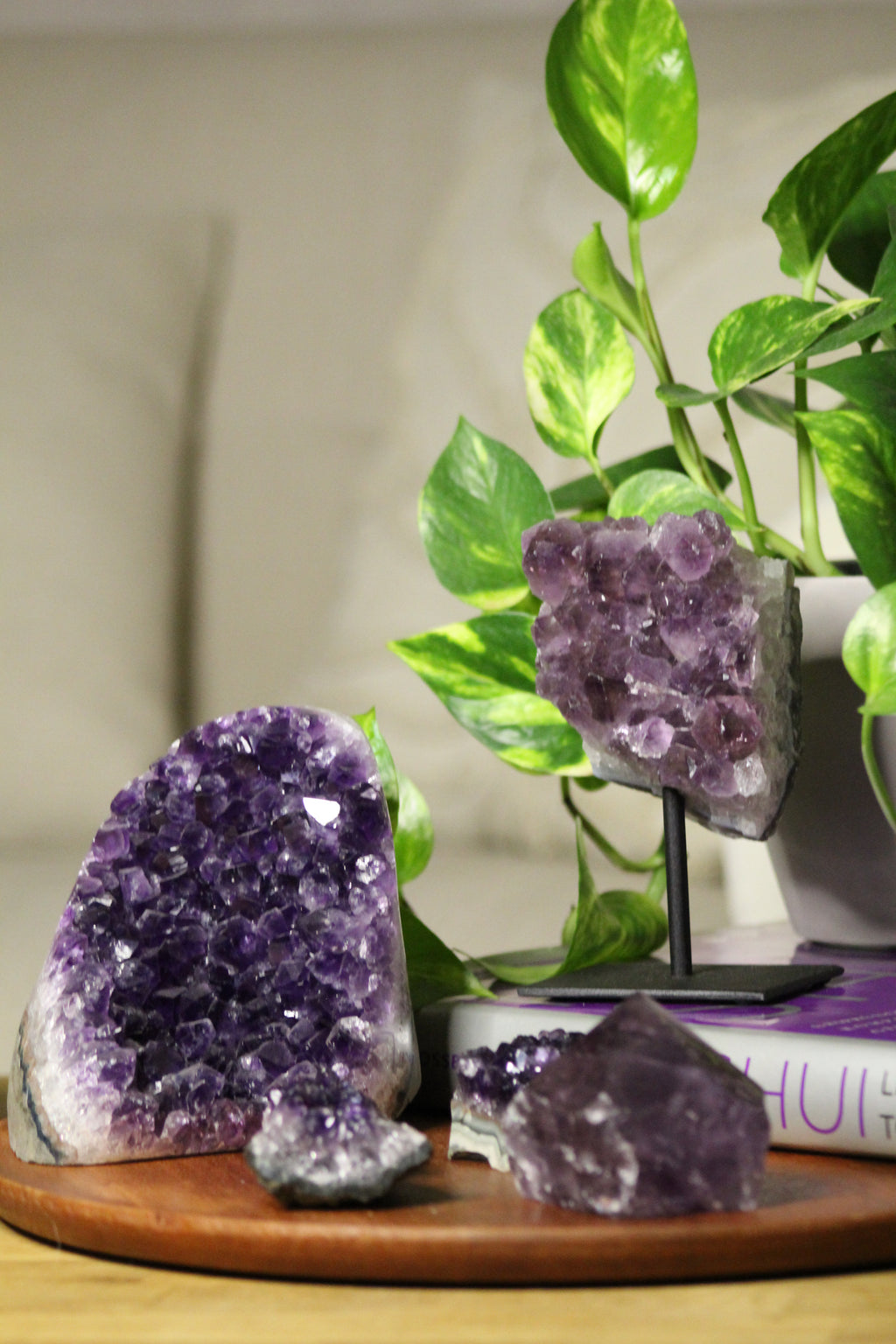 Amethyst Druse #1