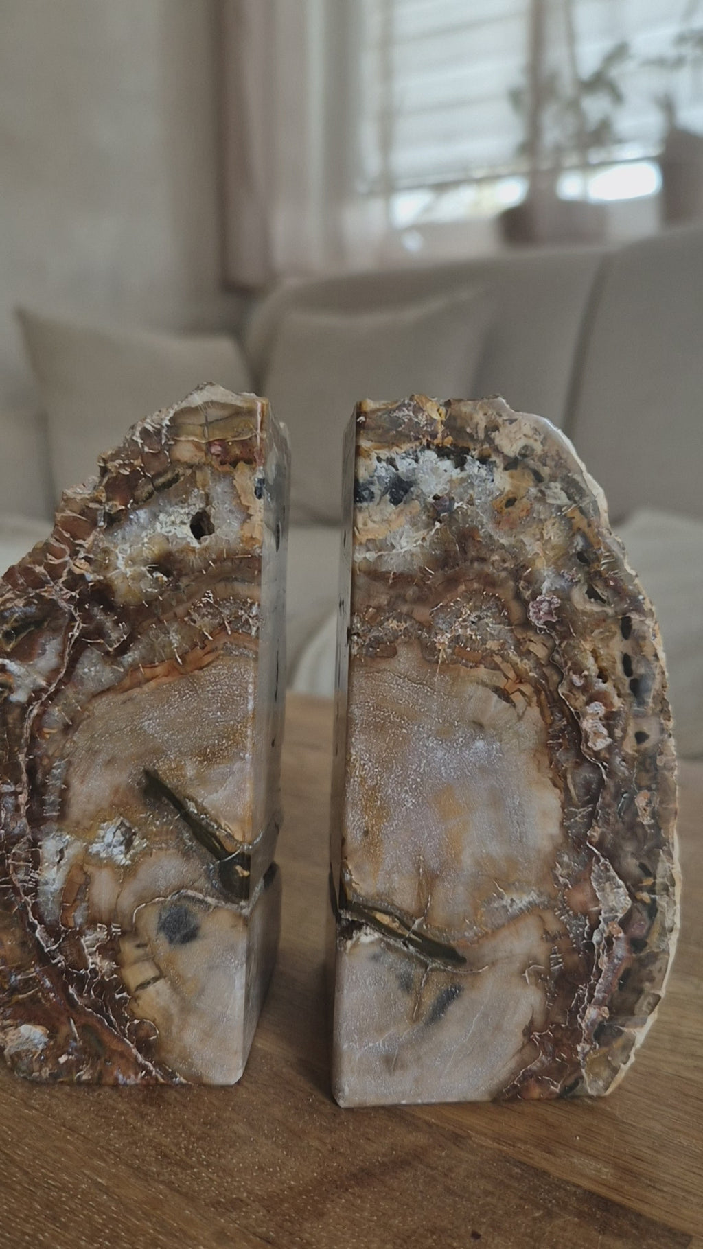 Versteinertes Holz - Buchstütze