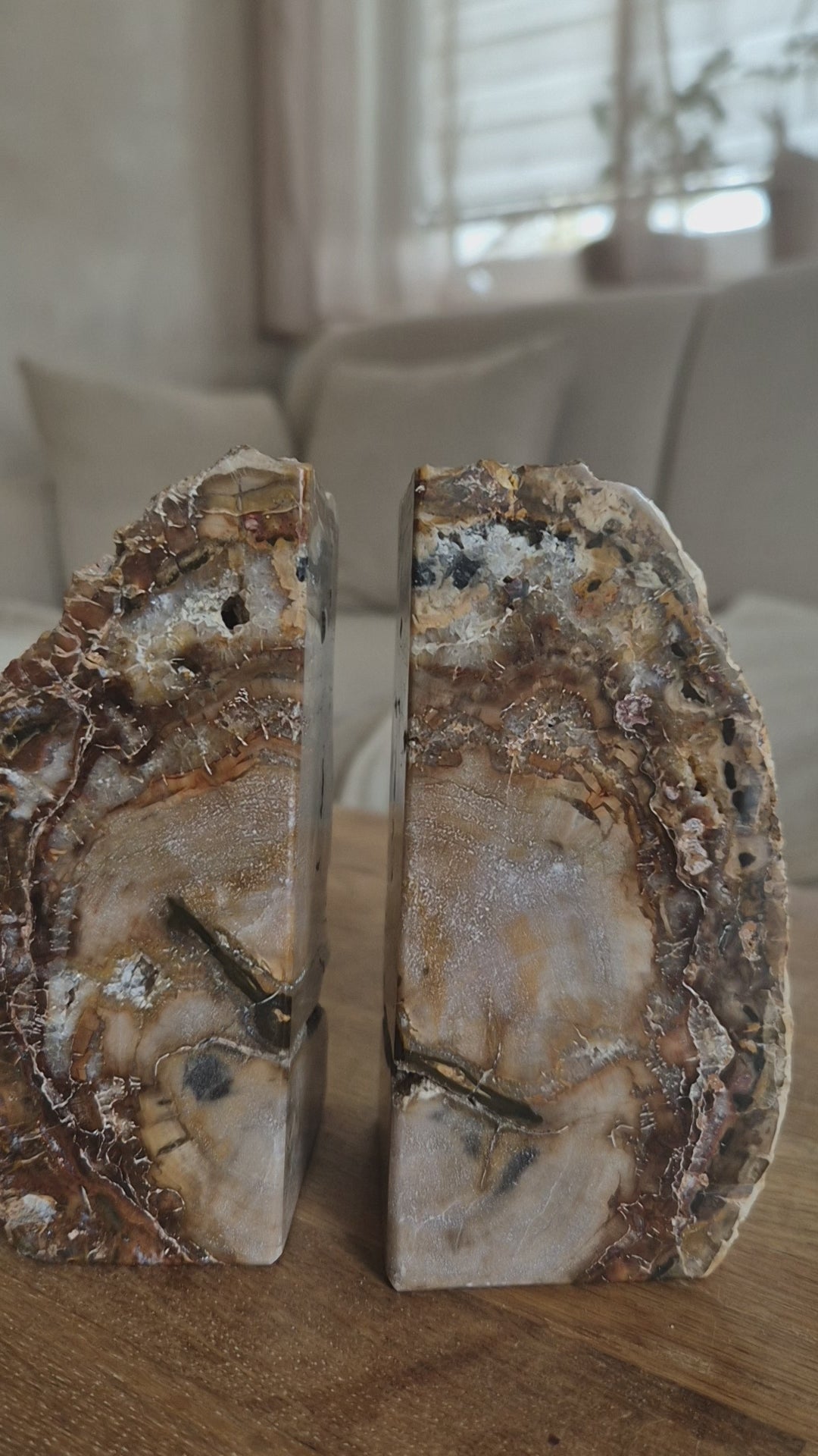 Versteinertes Holz - Buchstütze